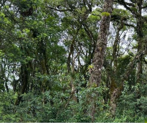 Terreno em Condomínio