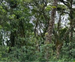 Terreno em Condomínio