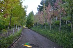 Área de Terras